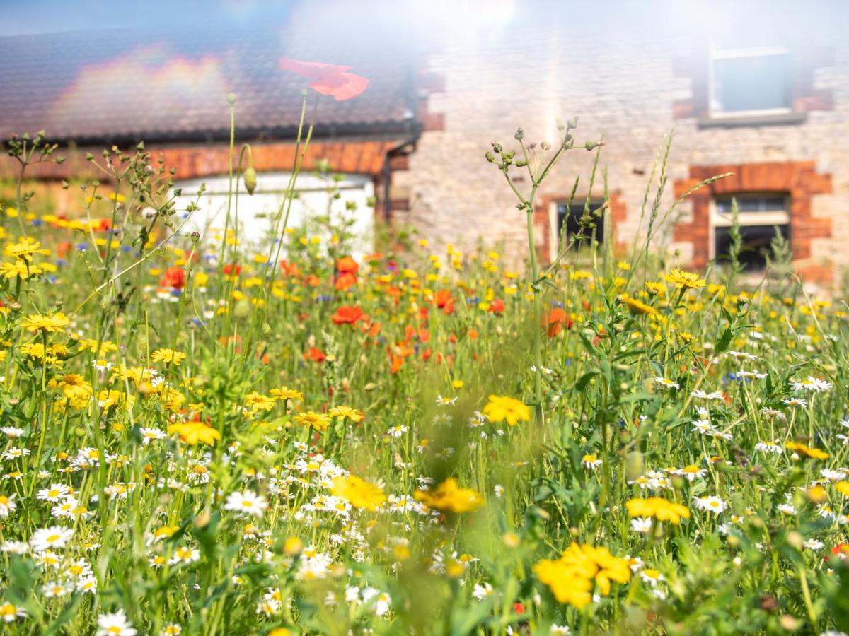 Sawcliffe Manor Country House With Spa, Free Parking, Catering, Self Checkin, Farmstay Scunthorpe Kültér fotó
